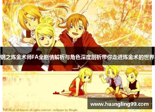 钢之炼金术师FA全剧情解析与角色深度剖析带你走进炼金术的世界